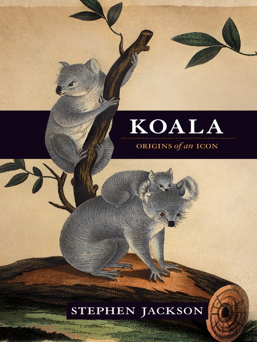 Title details for Koala by Stephen Jackson - Available